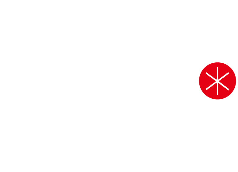 WAGYU JAPAN